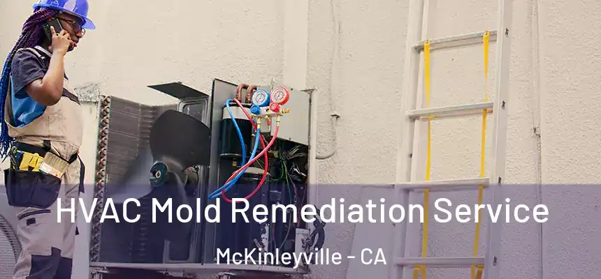  HVAC Mold Remediation Service McKinleyville - CA