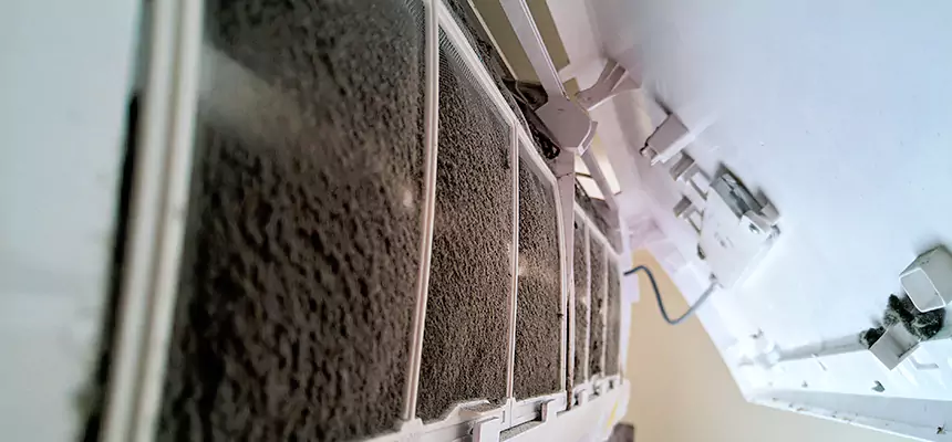 Preventive Air Duct Bacteria Removal in McKinleyville