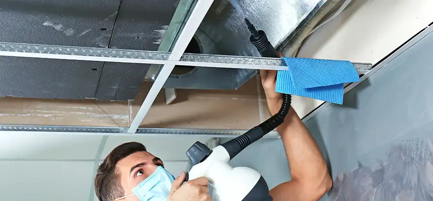 Our Air Duct Rodent Removal Services in McKinleyville, CA