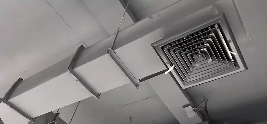 Our Pest Removal From Ducts Services in McKinleyville, CA