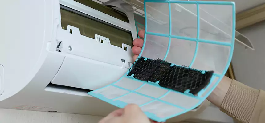 Gentle Ductwork Odor-Control Pet Dander Duct Cleaning in McKinleyville, CA