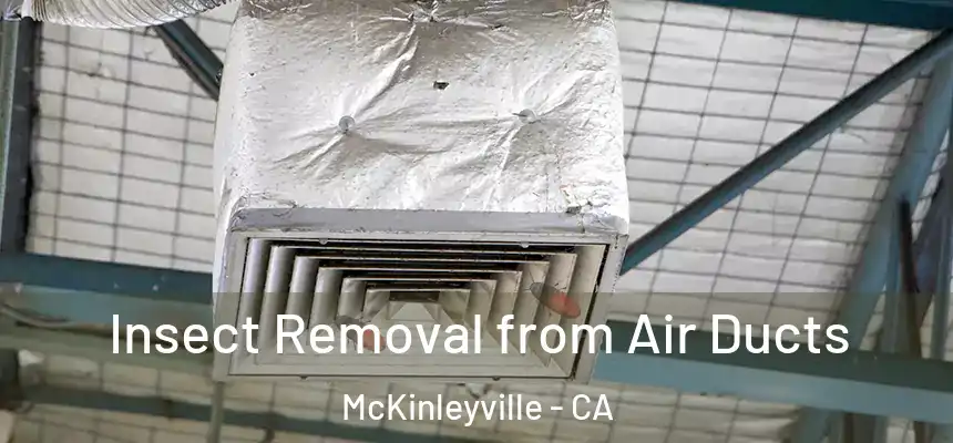  Insect Removal from Air Ducts McKinleyville - CA