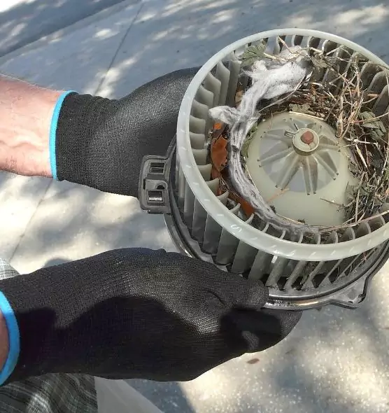 About Air Duct Mice Removal in McKinleyville, CA