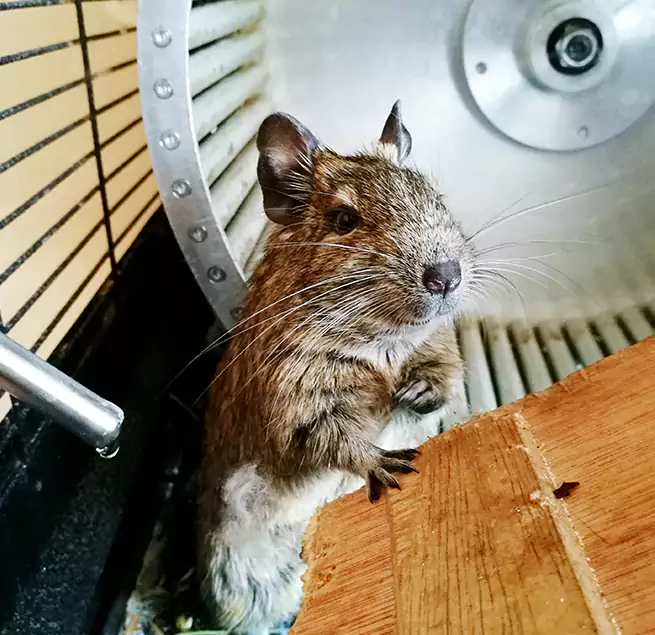 Why Homeowners & Businesses Trust Us McKinleyville, CA?