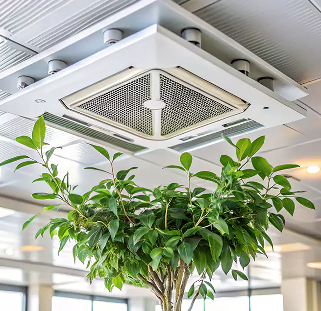 Why Homeowners & Businesses Trust Us in McKinleyville, CA