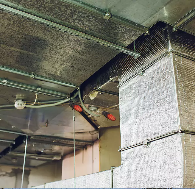 Why Homeowners & Businesses Trust Us McKinleyville, CA?